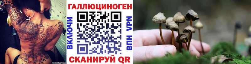 наркотики Билибино Галлюциногенные грибы Psilocybe